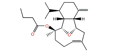 Litophynin A